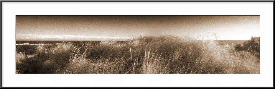 Robert Moses State Park, Long Island, New York
