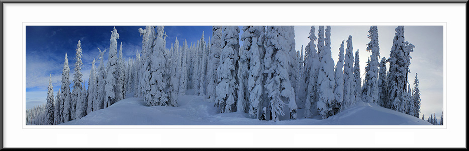 Whitefish, Montana