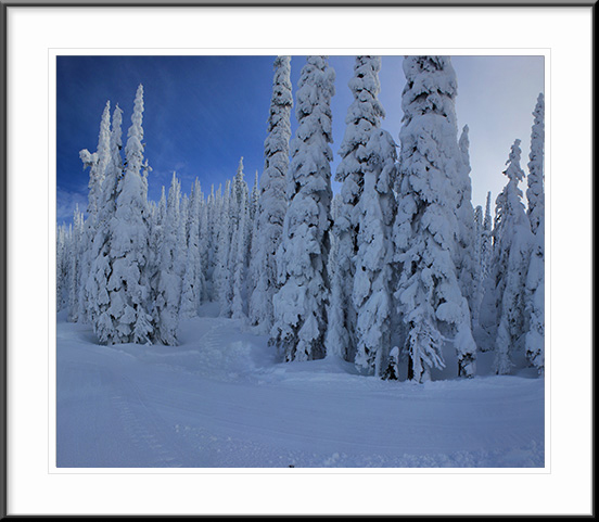 Whitefish, Montana