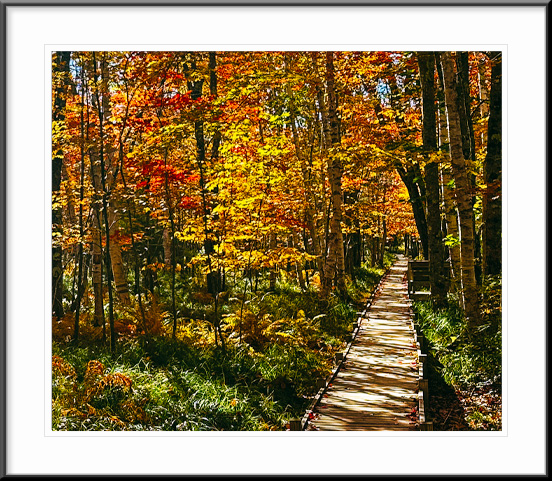 Acadia National Park, Maine