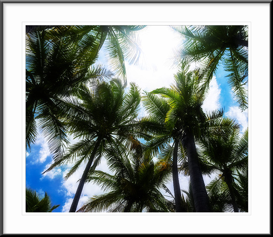 Black Sand Beach, HI